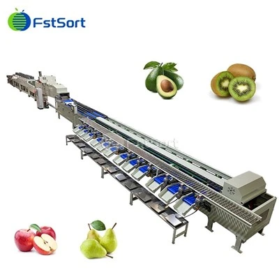 Avocado Panagbuggo ti Prutas Panagpamaga Waxing Sorting Processing Machine