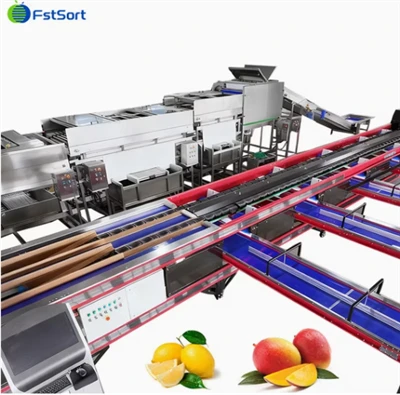 FstSort Automatiko a Linya ti Panagproseso ti Timbang ti Mango